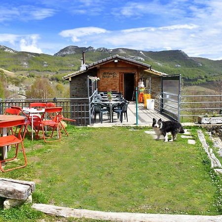 Refugio Castro Valnera Vandrerhjem Espinosa de los Monteros Eksteriør bilde